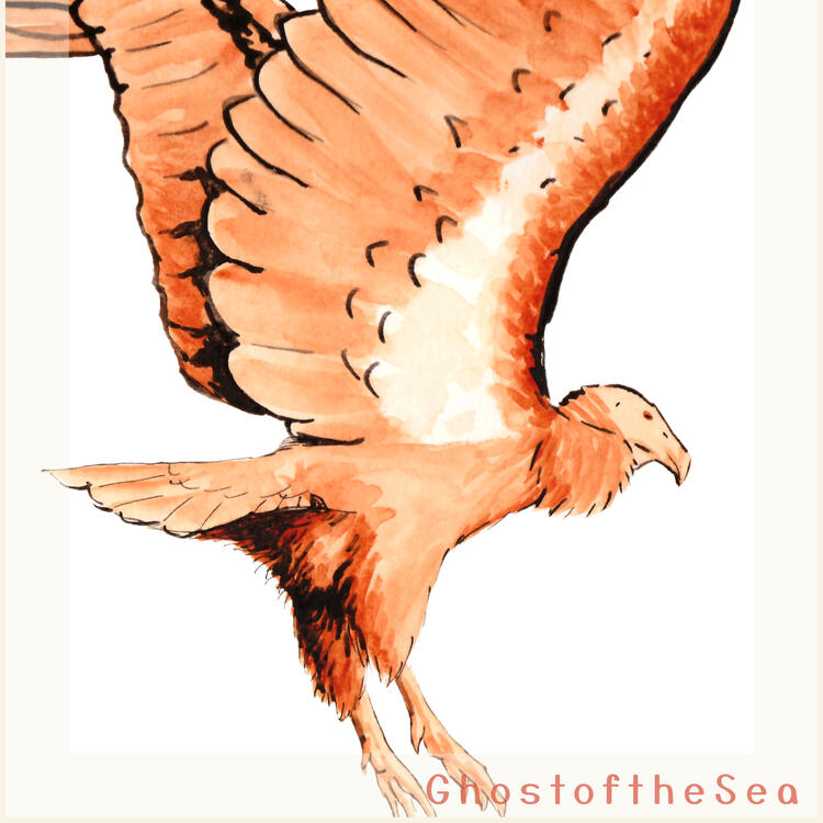 A simple A5 painting of a California Condor in shades of orange with black outlines. It is in flight with its feet dangling and wings spread high above its back.
