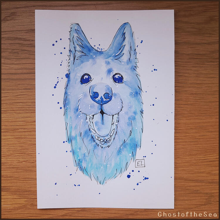 Photo of an A5 watercolour painting of a shepherd-type dog's head and neck, in shades of blue, with black and white ink details. The dog is facing the viewer with it's mouth open in a joyful expression.