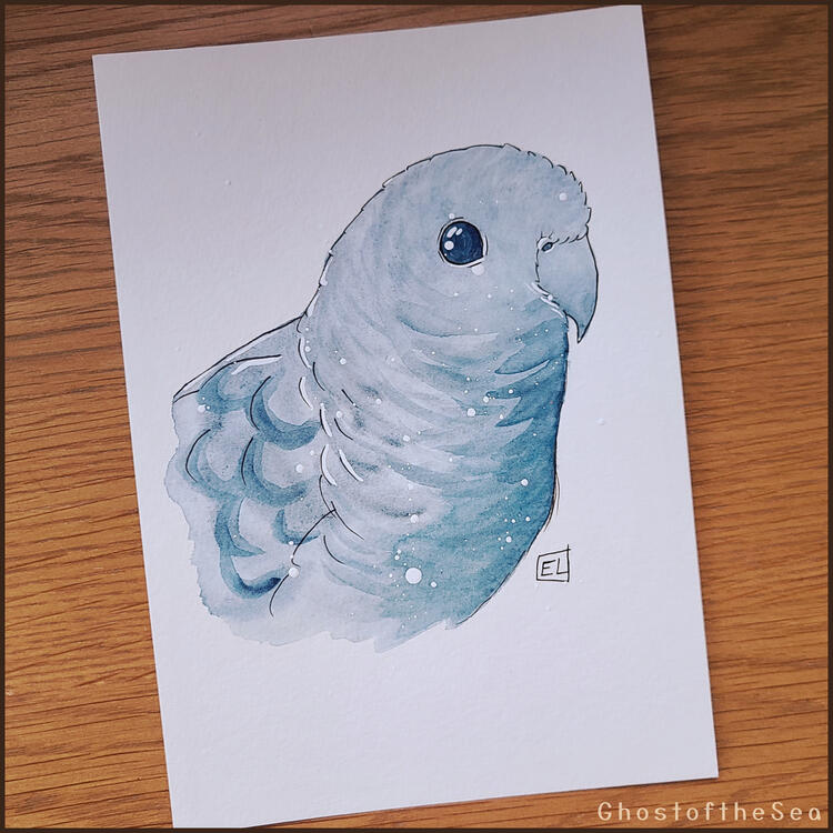 Photo of an A5 painting of a bust of a lineolated parakeet, looking bright and content and looking at the viewer. Shades of a single blue are used, with black and white ink for details.