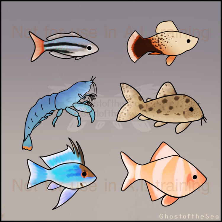 Digital illustrations on a grey-blue background depicting 5 different freshwater fish and an African giant shrimp.
