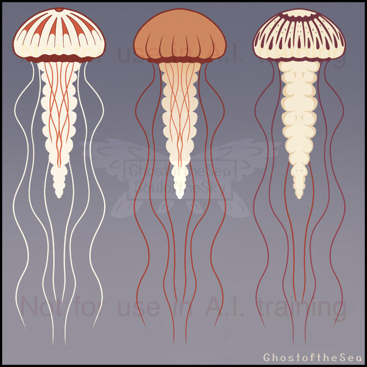 digital illustrations with a grey-blue background depicting several different species and varieties of Sea Nettle jellyfish.