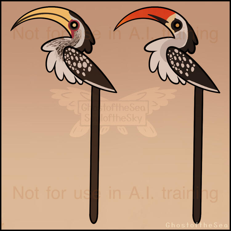 Digital illustrations of a southern yellow-billed hornbill and a Tanzanian hornbill