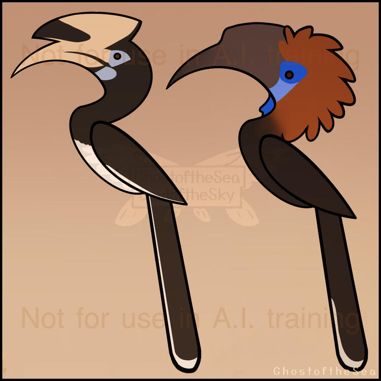 Digital illustrations of a female black-wattled hornbill and a male oriental pied hornbill.